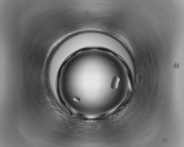 X0000091920388200709051445