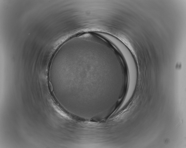 X0000091920389200709051445