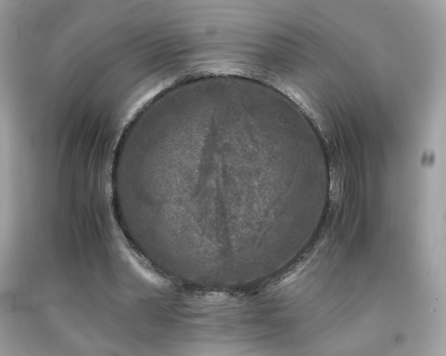X0000091920390200709051445