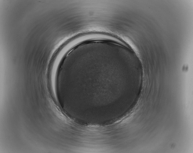 X0000091920391200709051445