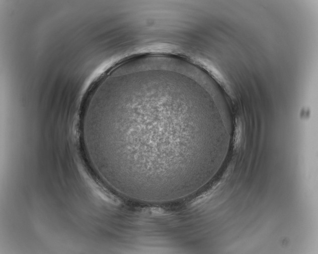 X0000091920392200709051445