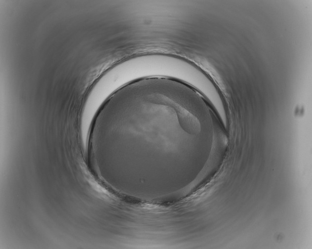 X0000091920393200709051445