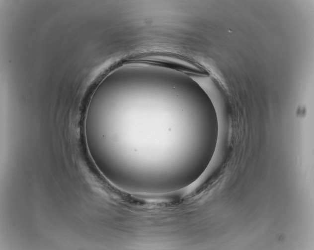 X0000091920395200709051445