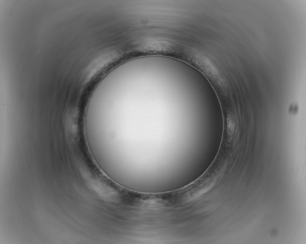 X0000091920396200709051445
