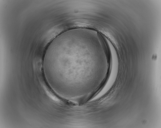 X0000091920397200709051445