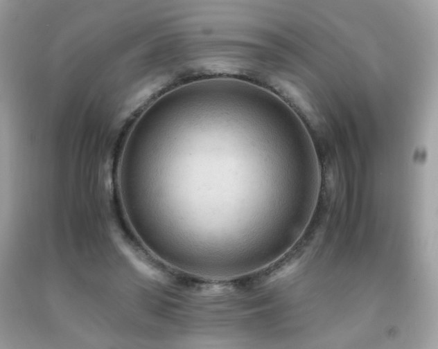 X0000091920398200709051445