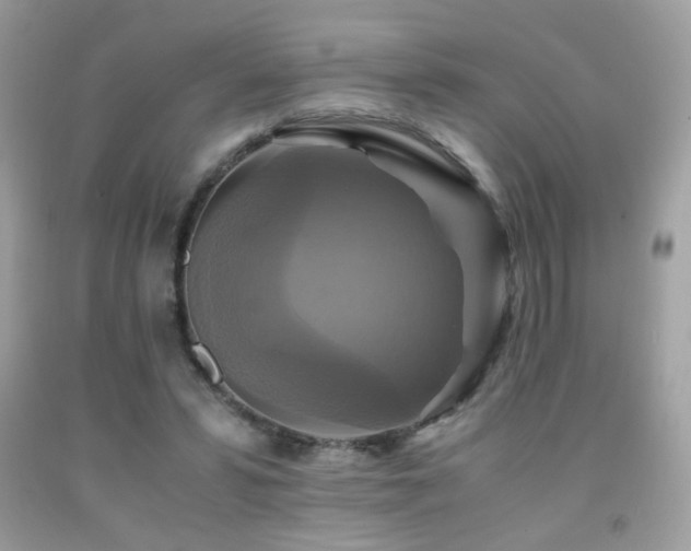 X0000091920399200709051445