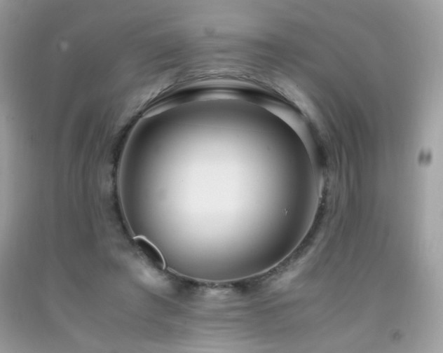 X0000091920401200709051445