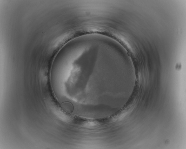 X0000091920402200709051445