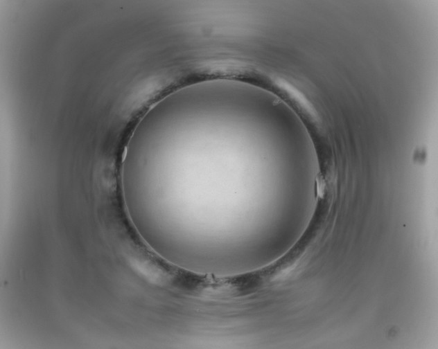 X0000091920403200709051445