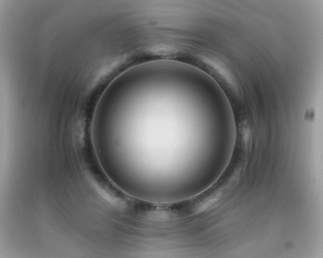 X0000091920404200709051445