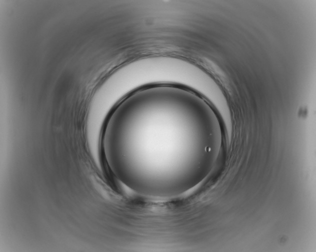 X0000091920405200709051445