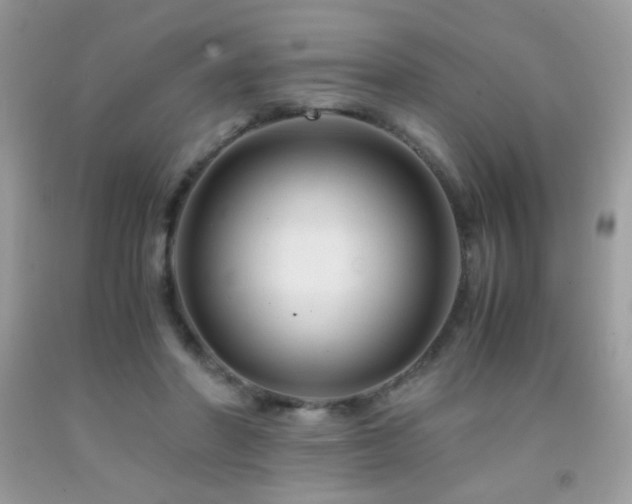 X0000091920406200709051445