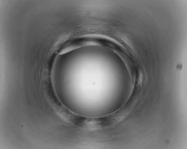 X0000091920407200709051445