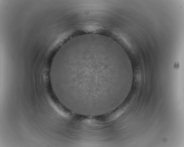 X0000091920408200709051445