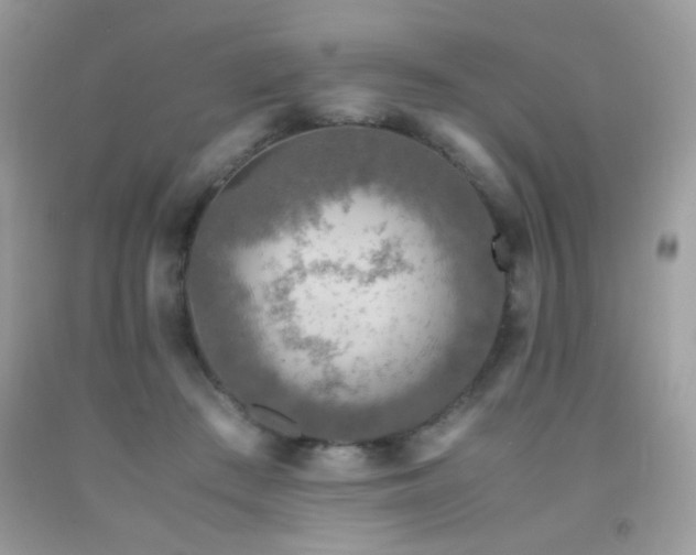 X0000091920409200709051445