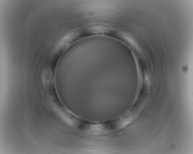 X0000091920411200709051445