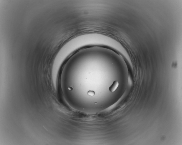 X0000091920412200709051445