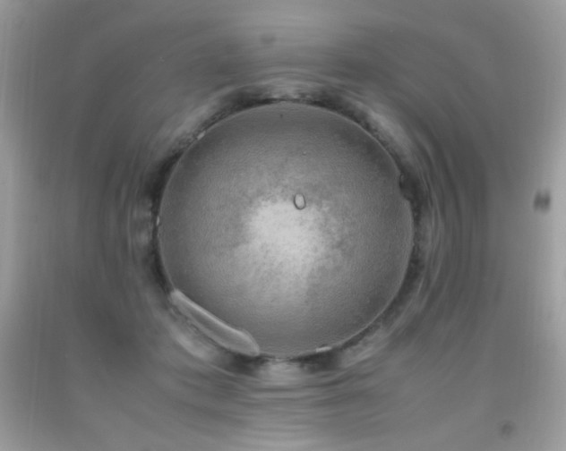 X0000091920413200709051445