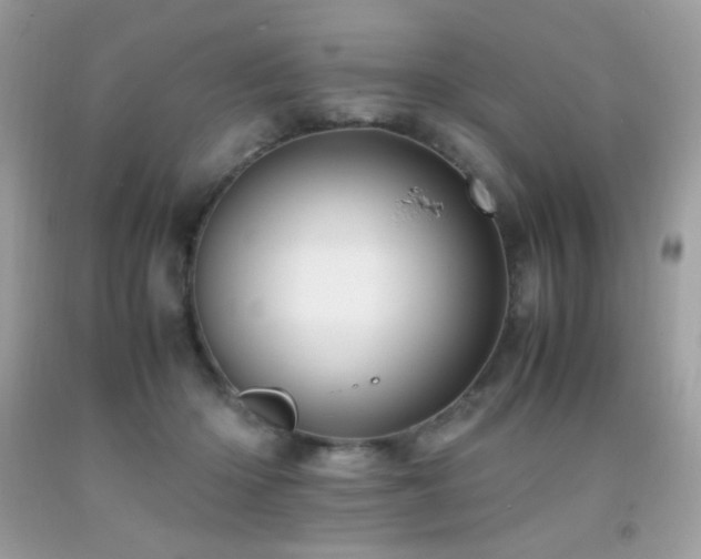 X0000091920414200709051445