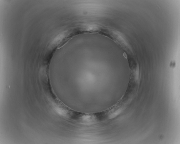 X0000091920415200709051445