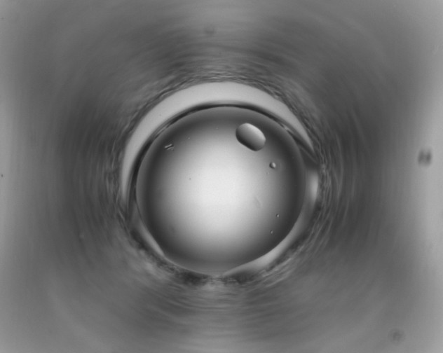 X0000091920416200709051445