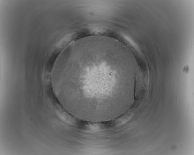 X0000091920417200709051445