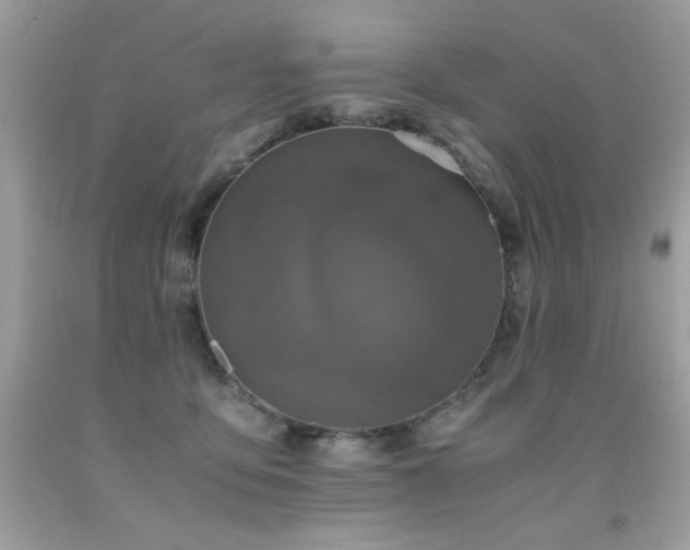 X0000091920419200709051445