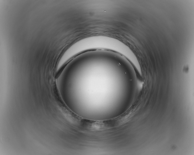 X0000091920420200709051445