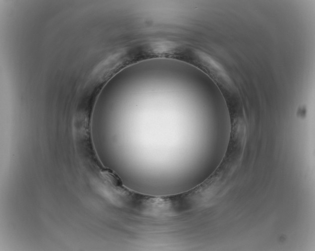 X0000091920421200709051445