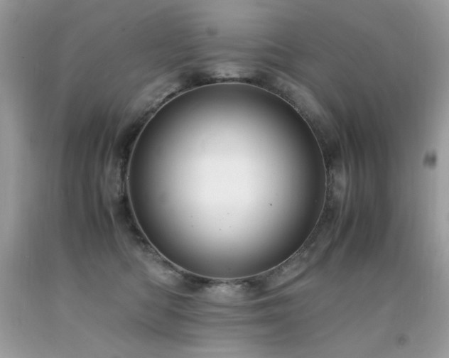 X0000091920422200709051445