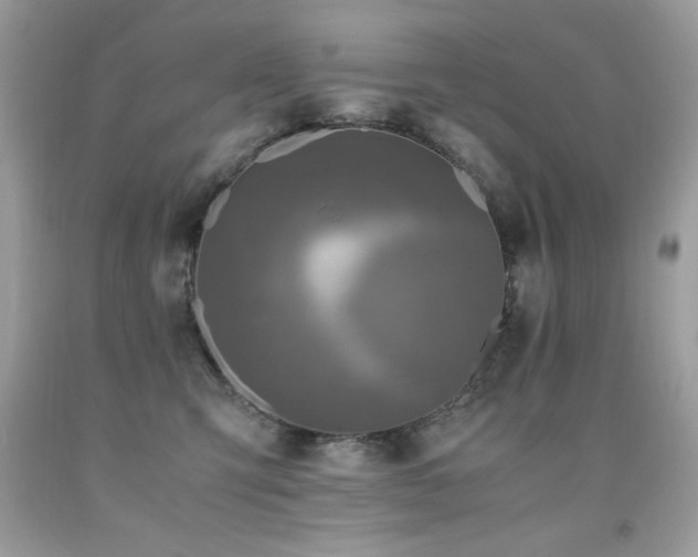 X0000091920423200709051445