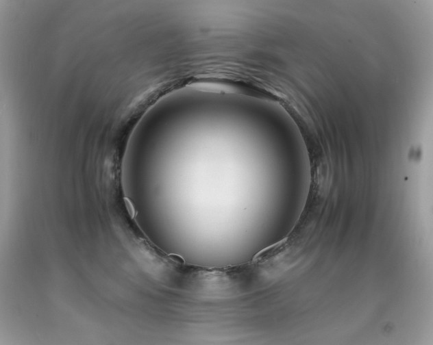 X0000091920424200709051445