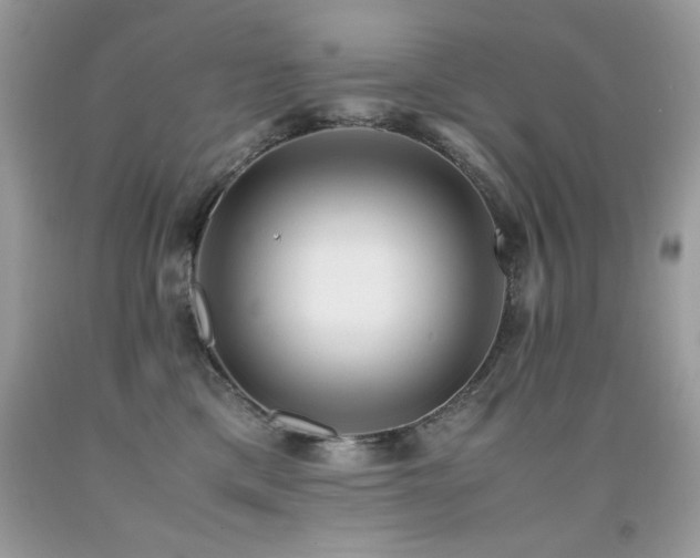 X0000091920425200709051445