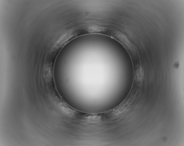 X0000091920426200709051444