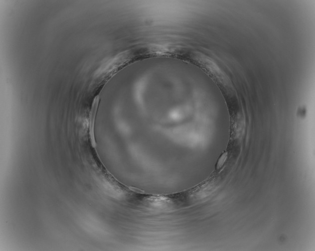 X0000091920427200709051444