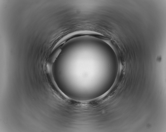 X0000091920428200709051444