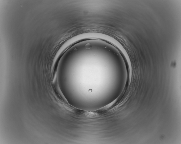 X0000091920429200709051444