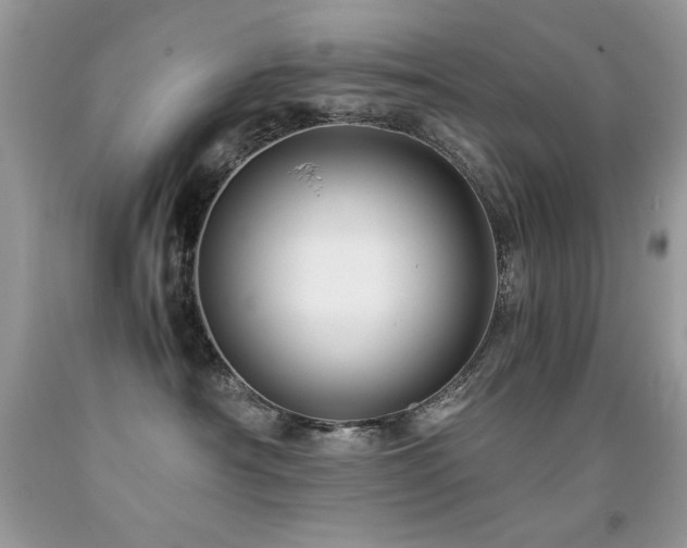 X0000091920430200709051444