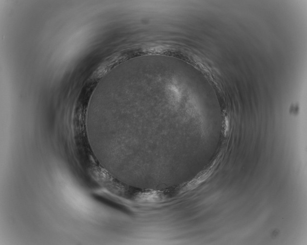 X0000091920431200709051444