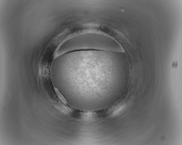 X0000091920432200709051444