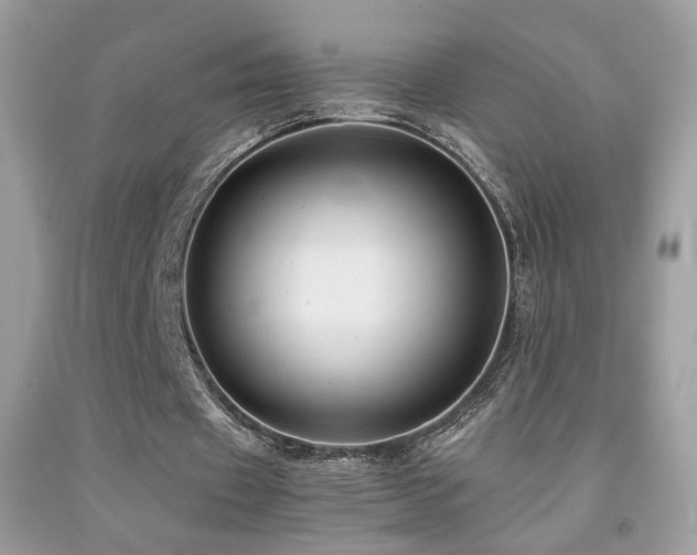 X0000091920433200709051444