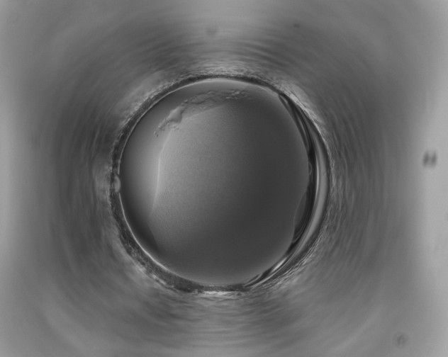 X0000091920434200709051444