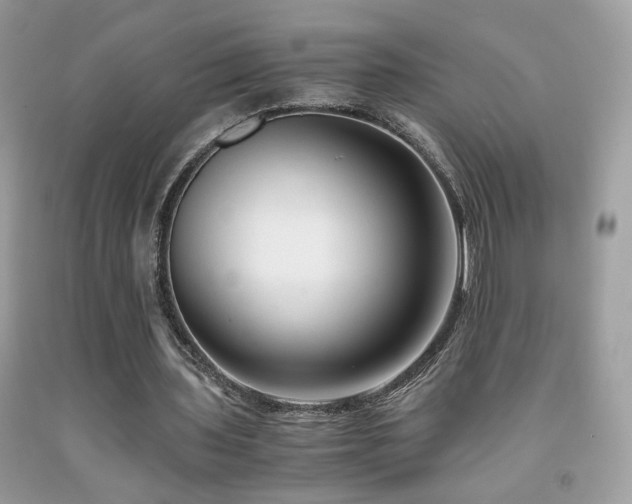 X0000091920435200709051444