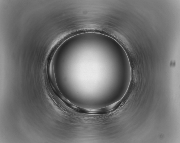 X0000091920436200709051444