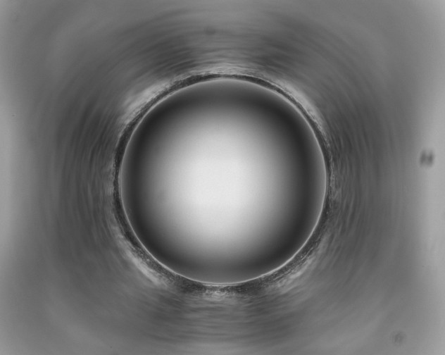 X0000091920437200709051444