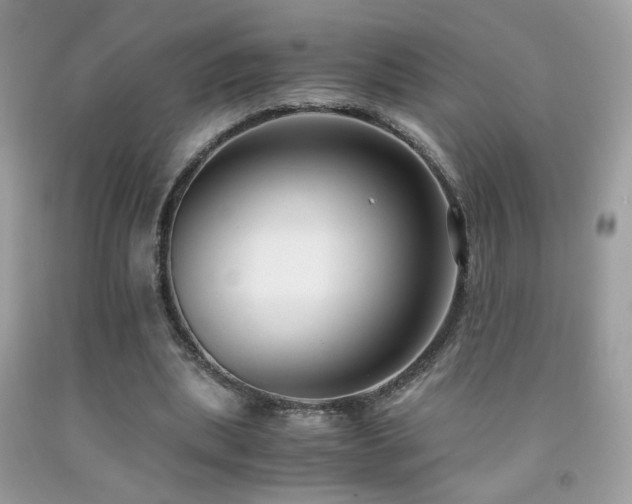 X0000091920439200709051444