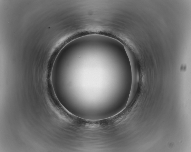 X0000091920440200709051444