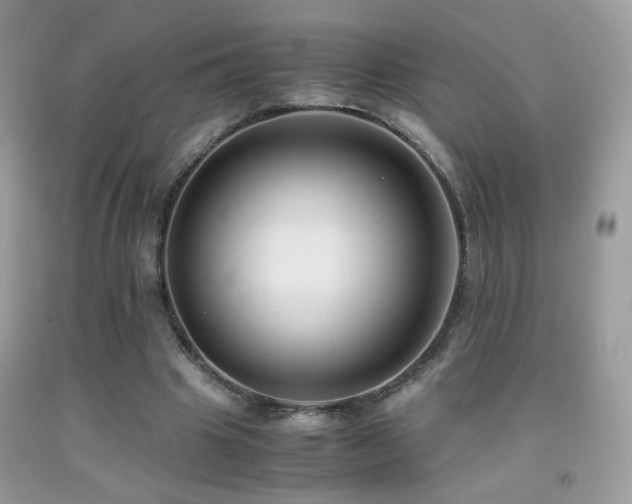 X0000091920441200709051444