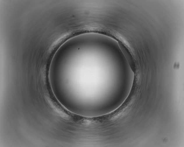 X0000091920442200709051444